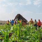 Innovative Agriculture